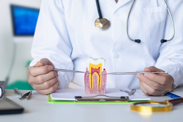Best Knocked-Out Tooth Emergency  in Union City, OH